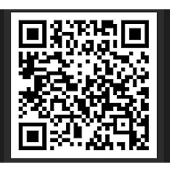 股票配资网|在线查询官网