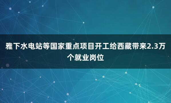 雅下水电站等国家重点项目开工给西藏带来2.3万个就业岗位