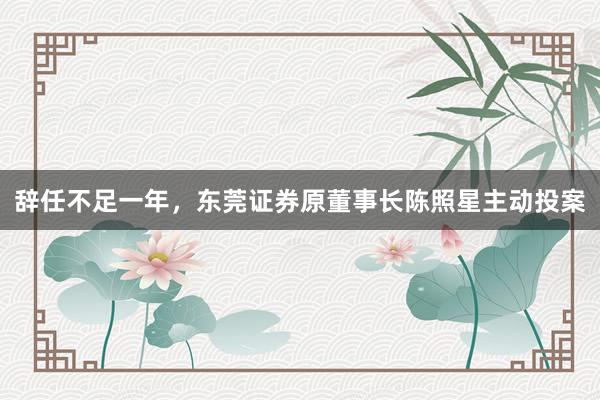 辞任不足一年，东莞证券原董事长陈照星主动投案