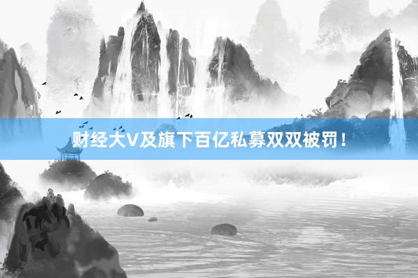 财经大V及旗下百亿私募双双被罚！