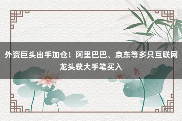 外资巨头出手加仓！阿里巴巴、京东等多只互联网龙头获大手笔买入
