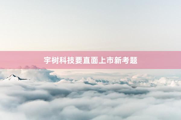 宇树科技要直面上市新考题