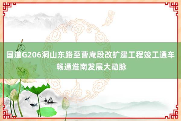 国道G206洞山东路至曹庵段改扩建工程竣工通车 畅通淮南发展大动脉