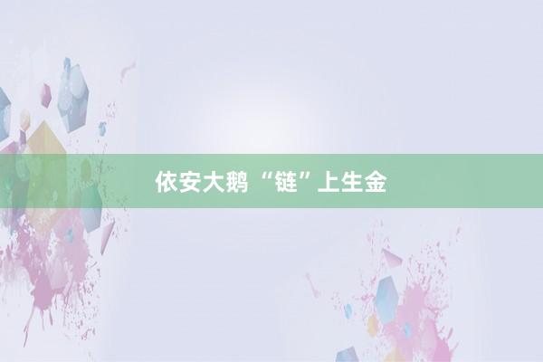 依安大鹅 “链”上生金