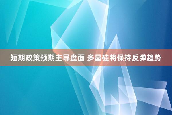 短期政策预期主导盘面 多晶硅将保持反弹趋势