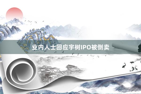 业内人士回应宇树IPO被倒卖