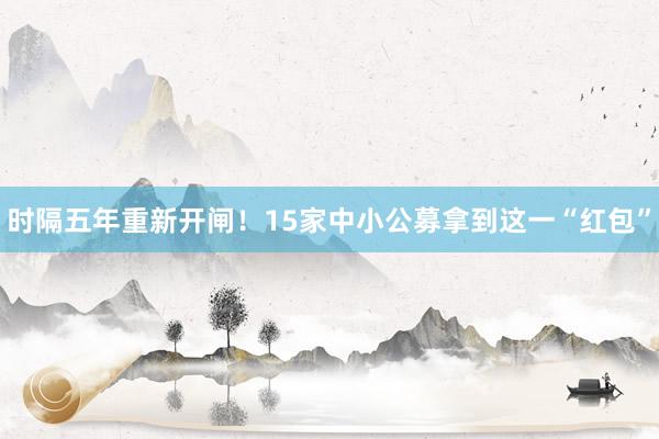 时隔五年重新开闸！15家中小公募拿到这一“红包”