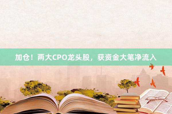 加仓！两大CPO龙头股，获资金大笔净流入