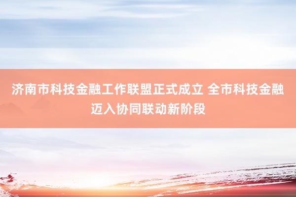 济南市科技金融工作联盟正式成立 全市科技金融迈入协同联动新阶段