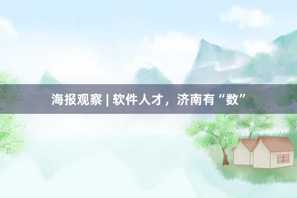 海报观察 | 软件人才，济南有“数”