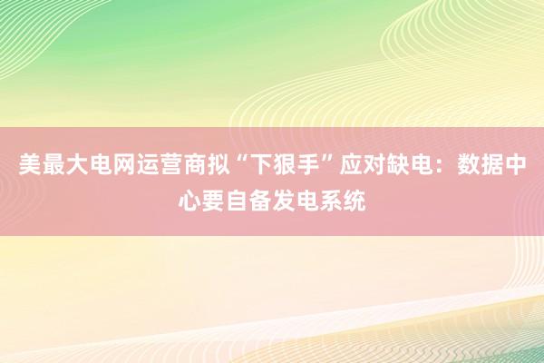 美最大电网运营商拟“下狠手”应对缺电：数据中心要自备发电系统
