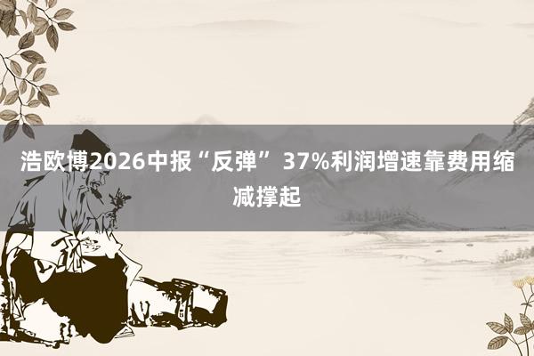 浩欧博2026中报“反弹” 37%利润增速靠费用缩减撑起