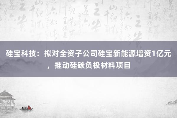 硅宝科技：拟对全资子公司硅宝新能源增资1亿元，推动硅碳负极材料项目