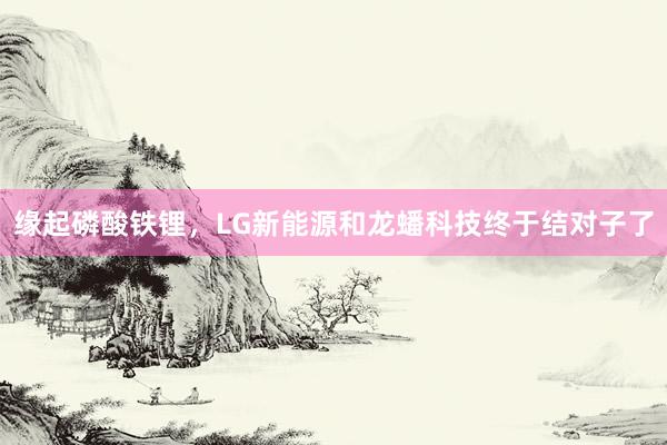 缘起磷酸铁锂，LG新能源和龙蟠科技终于结对子了