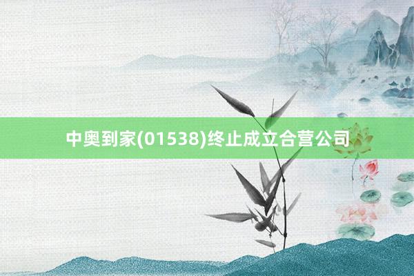 中奥到家(01538)终止成立合营公司