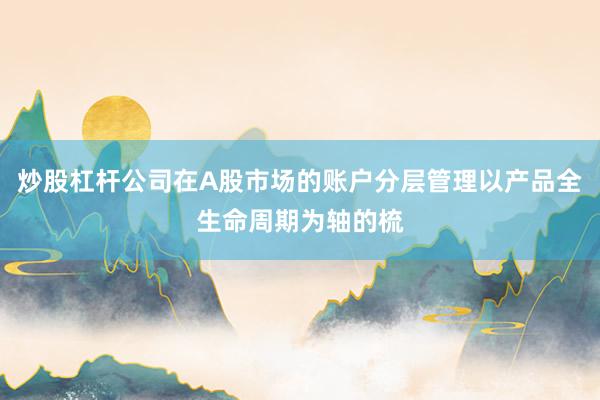 炒股杠杆公司在A股市场的账户分层管理以产品全生命周期为轴的梳