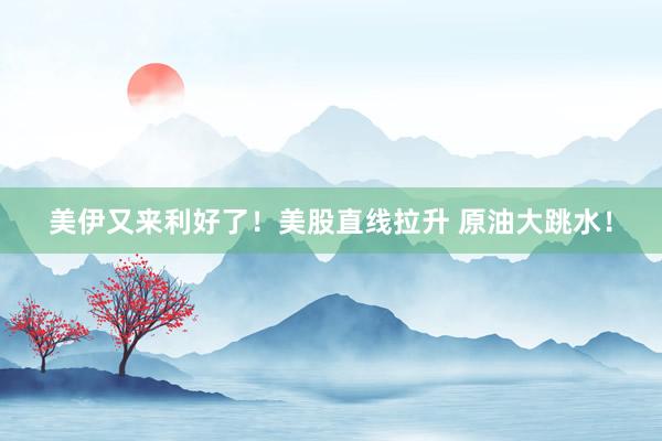 美伊又来利好了！美股直线拉升 原油大跳水！