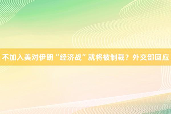 不加入美对伊朗“经济战”就将被制裁？外交部回应