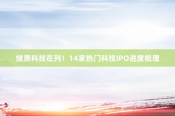 燧原科技在列！14家热门科技IPO进度梳理