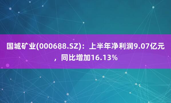 国城矿业(000688.SZ)：上半年净利润9.07亿元，同比增加16.13%