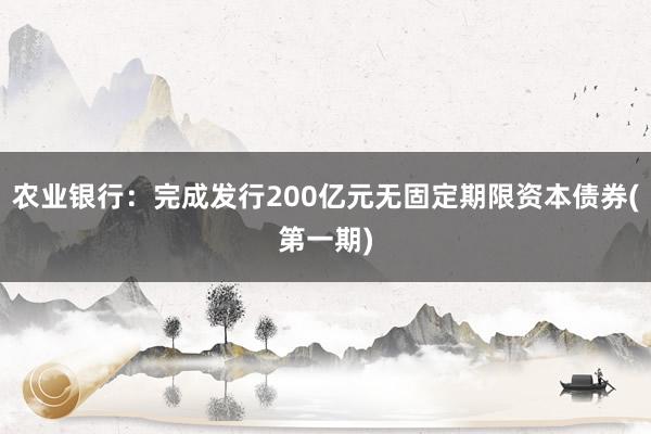 农业银行：完成发行200亿元无固定期限资本债券(第一期)