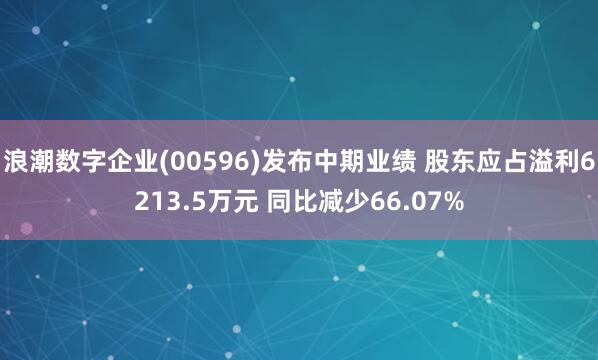 浪潮数字企业(00596)发布中期业绩 股东应占溢利6213.5万元 同比减少66.07%