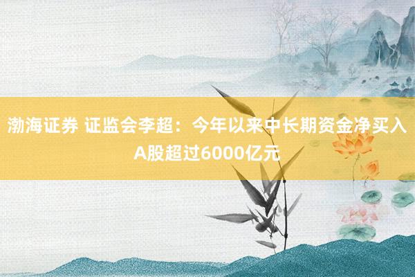 渤海证券 证监会李超：今年以来中长期资金净买入A股超过6000亿元