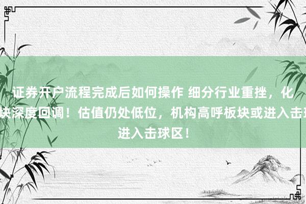 证券开户流程完成后如何操作 细分行业重挫，化工板块深度回调！估值仍处低位，机构高呼板块或进入击球区！