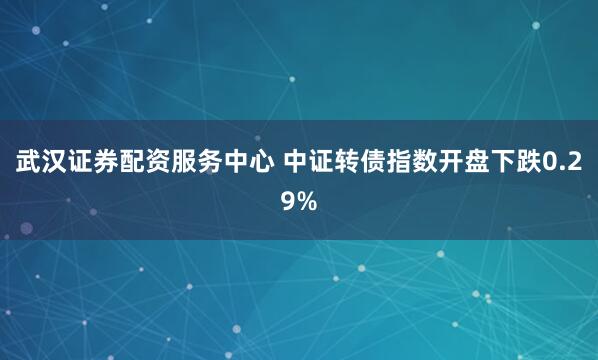 武汉证券配资服务中心 中证转债指数开盘下跌0.29%