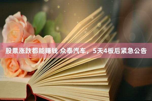 股票涨跌都能赚钱 众泰汽车，5天4板后紧急公告