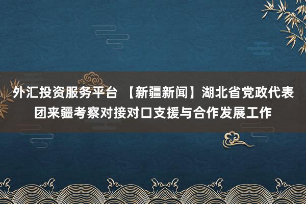 外汇投资服务平台 【新疆新闻】湖北省党政代表团来疆考察对接对口支援与合作发展工作