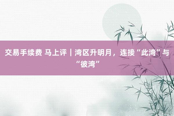 交易手续费 马上评｜湾区升明月，连接“此湾”与“彼湾”