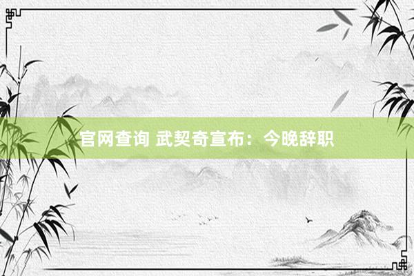 官网查询 武契奇宣布：今晚辞职