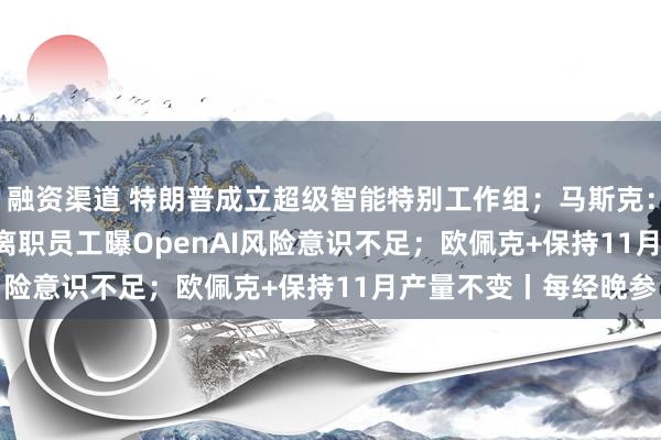 融资渠道 特朗普成立超级智能特别工作组；马斯克：SpaceXAI将改名；离职员工曝OpenAI风险意识不足；欧佩克+保持11月产量不变丨每经晚参
