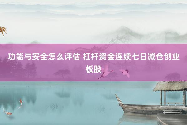 功能与安全怎么评估 杠杆资金连续七日减仓创业板股